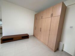 Bartley Road (D19), Apartment #555800281